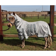 Ruggles Shetland-Miniature