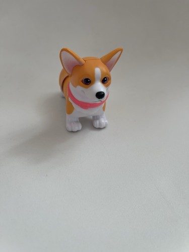 Pembroke welsh corgi zuru - pembroke,