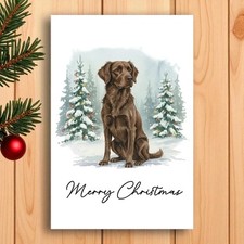 Chesapeake Bay Retriever
