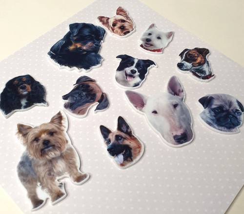 Dog pins brooch - pins., brooch.