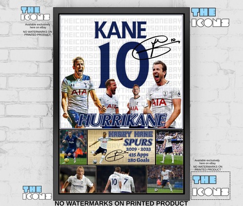 Harry kane spurs football - spurs,