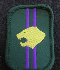 Vintage Scout patrol badge -