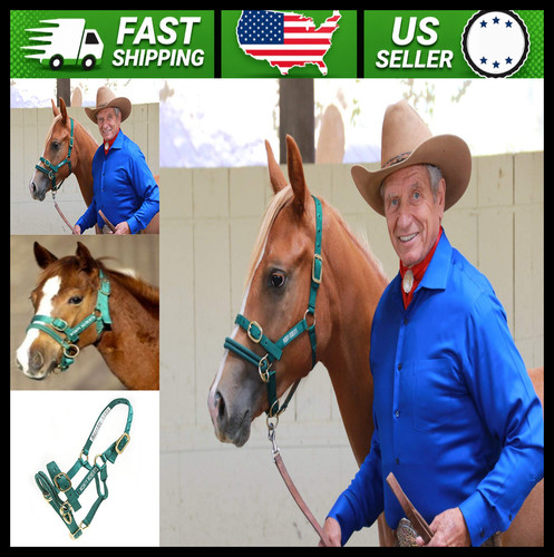 Monty roberts dually horse - monty,