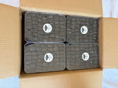 Ajwa dates madinah eastern - dates,