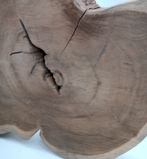 Teak Cookie