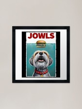Funny Dandie Dinmont Terrier