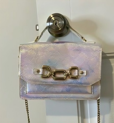 Nwot aldo iridescent snake - nwot,
