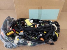 Citroen Peugeot Main Wiring
