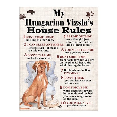 Hungarian vizsla s house - my,