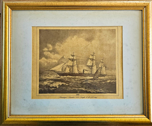 Framed photolithograph print - framed,