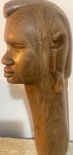 African olive tree wooden - tree,