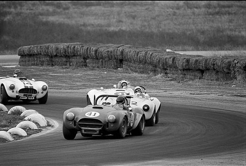 Nick nero 1966 shelby - nick,