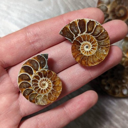 2pcs natural druzy - natural,