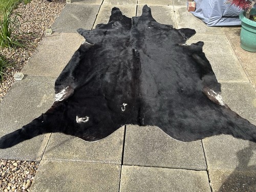 Cow hide rug - cow,