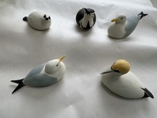 5 Isle of Arran Birds -