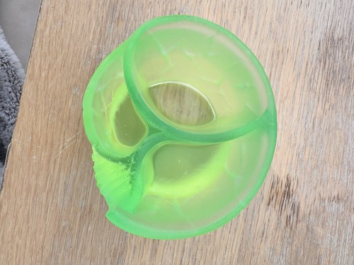 Plant pot with - plant,