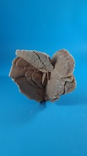 Desert Rose Tunisia North