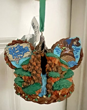 HTF SPLASH MOUNTAIN BRER