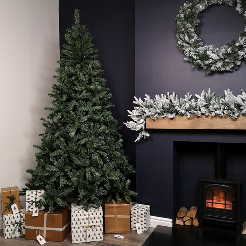 8ft woodcote spruce - 8ft,