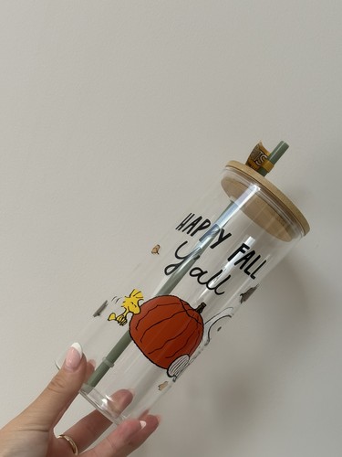 Peanuts snoopy glass tumbler - snoopy,