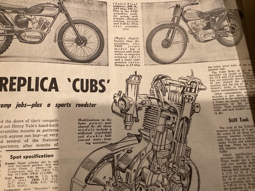 Triumph tiger cubs - tiger,