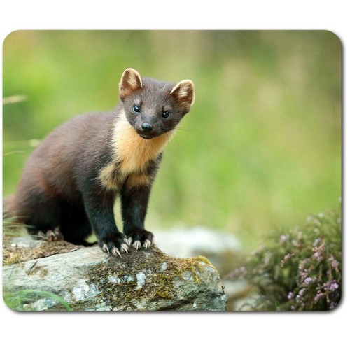 Rectangle mouse mat - , pine