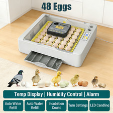 48 Eggs Incubator Temperature