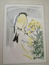 David Koster The Bullfinch Watercolour Ink Print  RSPB Framed Mounted Signed