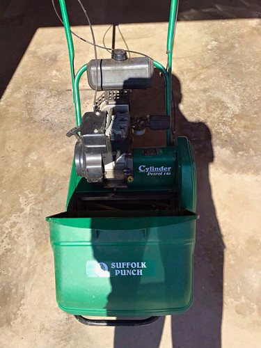 Suffolk punch petrol 14s - punch,