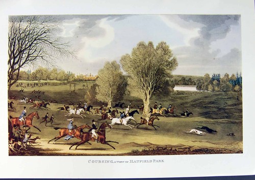 Antique print restrike - antique,