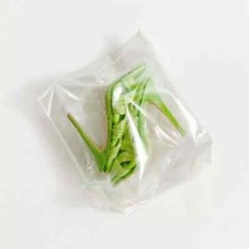 Integrity Fashion Royalty