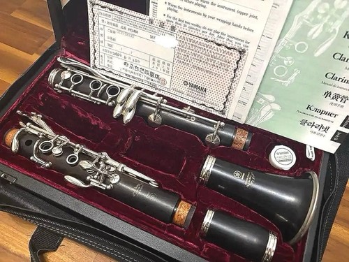 Yamaha ycl 650 professional - yamaha,