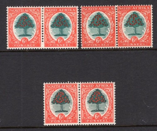 South africa 1939 1950 - 1939-1950, tree