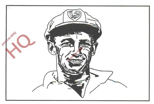Postcard knights cricket - of,