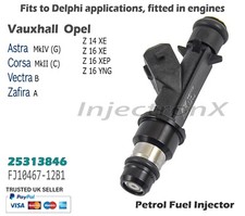 Petrol Fuel Injector 25313846