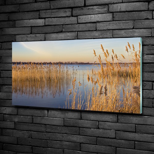 Tulup glass print wall - glass,