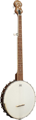 Ashbury 5 string - ashbury, ab-85