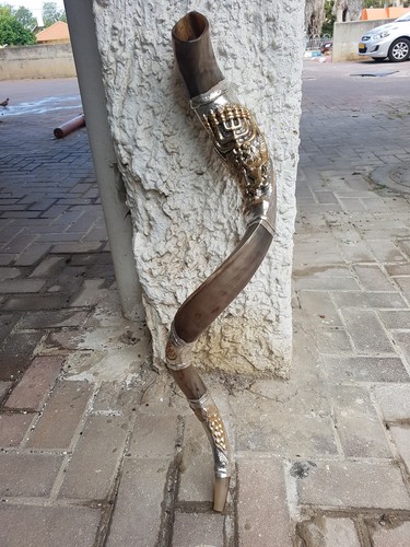 Shofar yemenite kudu - shofar,