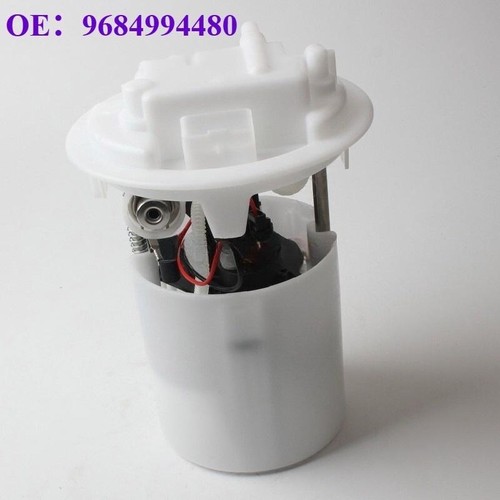 Fuel pump assembly for citroen - fuel,