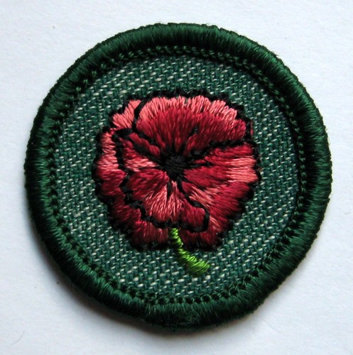 Vintage 1955 1960 - 1955-1960, scout