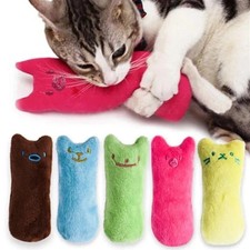 Catnip Toy for Cats Funny