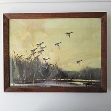 Vernon Ward Print Mallard