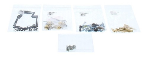Carburetor rebuild kit - carburetor,