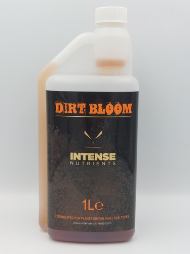 Intense nutrients dirt bloom - intense,