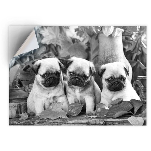Vinyl sticker bw - 1,