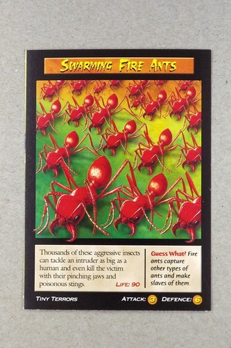 Weird wild creatures tiny - n’,