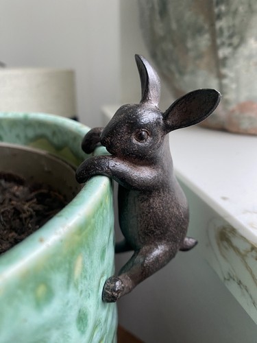 Hare plant pot hanger indoor - plant,