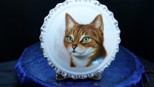 Vintage liverpool pottery - liverpool, cat