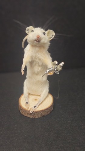 Funny taxidermy tattoo mouse - funny,