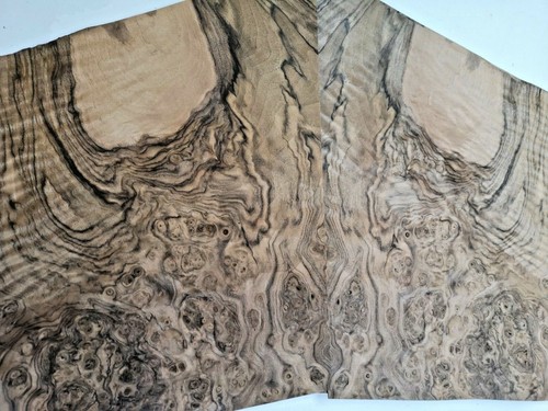 Burr burl walnut veneer - veneer,